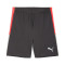Puma Individualliga Training Shorts 2 (Open pockets) Shorts