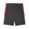 Puma Individualliga Training Shorts 2 (Open pockets) Shorts
