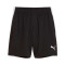 Puma Individualliga Training Shorts 2 Jr (Open Pockets) Shorts