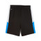 Puma Individualliga Training Shorts 2 Jr (Open Pockets) Shorts