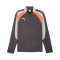 Puma Individualliga 1/4 Zip Top Sweatshirt