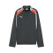 Puma Individualliga 1/4 Zip Top Niño Sweatshirt