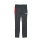 Puma Individualliga Training Lange broek