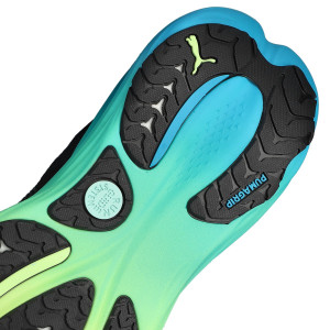 LOOPZOOL-2