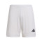 adidas Squadra 25 II Shorts