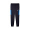 Puma Sporten Lange broek
