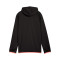 Puma Sport Lichtgewicht Niño Sweatshirt