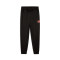 Puma Sports Graphic Niño Lange broek