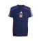 adidas Olympique Lyon 2025-2026 Fanswear T-Shirt