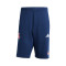 adidas Arsenal FC 2025-2026 Fanswear Bermuda shorts
