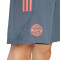 adidas Fc Bayern 2025-2026 Fanswear Shorts