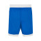 Nike Team 25 Basketball Kind Shorts