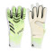 adidas Predator Pro Handschoen