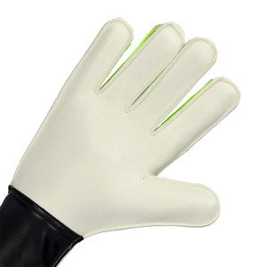 PALM-1
