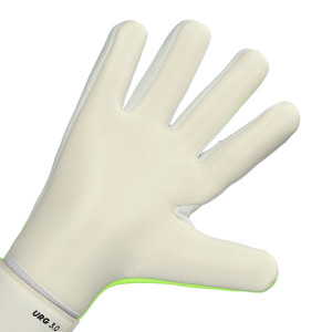 PALM-1