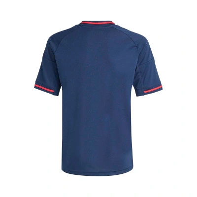 Kinderen Olympique Lyon 2025-2026 Uit Shirt