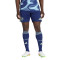 adidas Ajax 2025-2026 Uit Shorts