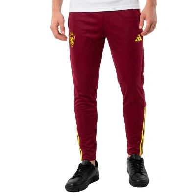 Real Zaragoza Paseo Jugador 25-26 Lange broek