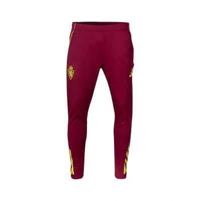Real Zaragoza Paseo Jugador 25-26 Lange broek