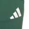 adidas Real Zaragoza Entreno Portero 25-26 Niño Lange broek