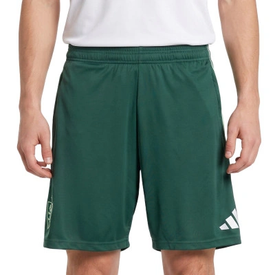Real Zaragoza Training Keeper 25-26 Shorts