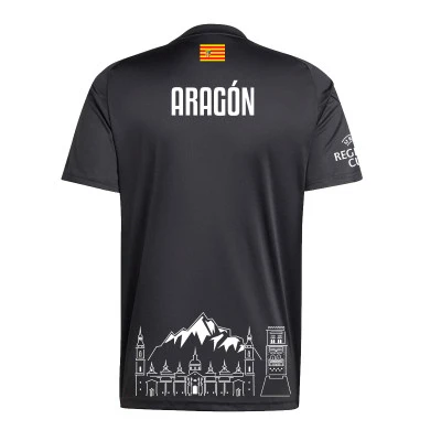 Real Federación Aragonesa de Fútbol Primera Equipación Niño Portero 2024-2025 Shirt
