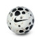 Nike Academie 2025-2026 Bal