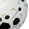 Nike Academie 2025-2026 Bal
