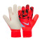 Nike wedstrijd Handschoen
