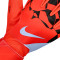 Nike wedstrijd Handschoen