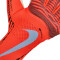 Nike Phantom dynamische pasvorm Handschoen