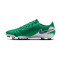 Nike Tiempo Legend 10 Academie FG Voetbalschoenen