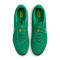 Nike Tiempo Legend 10 Academie FG Voetbalschoenen