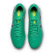 Nike Tiempo Legend 10 Elite FG Voetbalschoenen