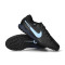 Nike Tiempo Legend 10 Pro Gras Voetbalschoenen