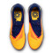 Nike Phantom 6 Low Academie Gras EH Voetbalschoenen