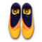Nike Phantom 6 Low Pro AG-Pro EH Voetbalschoenen