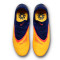 Nike Phantom 6 Low Pro FG EH Voetbalschoenen