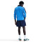 Nike Club Shorts
