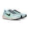 Nike Pegasus 41 Hardloopschoenen