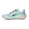 Nike Pegasus 41 Hardloopschoenen