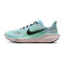 Nike Pegasus 41 Hardloopschoenen
