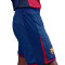 Nike Fc Barcelona Authentiek 2025-2026 Thuis Shorts