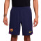 Nike Fc Barcelona 2025-2026 Training Shorts