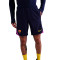 Nike Fc Barcelona 2025-2026 Training Shorts