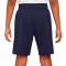 Nike Kinderen Fc Barcelona 2025-2026 Training Shorts