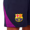 Nike Kinderen Fc Barcelona 2025-2026 Training Shorts