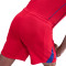 Nike Psg 2025-2026 Derde Shorts