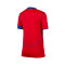 Nike Kinderen PSG 2025-2026 Derde Shirt