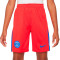 Nike Kinderen PSG 2025-2026 Derde Shorts